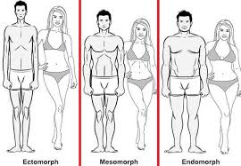 The Best Diets And Workouts For Your Body Type Ectomorph Workout Best Diets Body Types