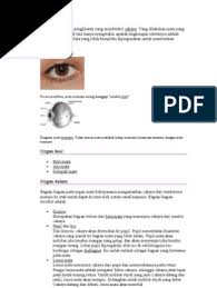 Maybe you would like to learn more about one of these? Mata Adalah Organ Penglihatan Yang Mendeteksi Cahaya Pdf
