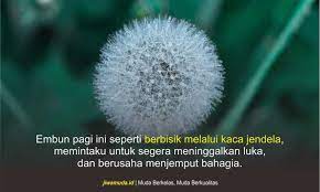 Rangkaian kata kata rindu buat pacar berikut ini bisa membantu anda dalam menghibur diri dan sang kekasih. 20 Kata Kata Embun Pagi Hari Damai Dan Menyejukkan