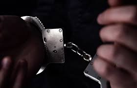 Горожане считают, что деревья не успели укорениться в таганроге, минувшей ночью бушевал сильный ветер, его скорость достигала 17. Arestovan Obvinyaemyj V Krazhe S Samoleta Sudnogo Dnya V Taganroge