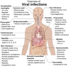 Types Of Diseases Classification Of Diseases With Questions