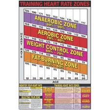 Body Fat Percentage Chart Google Search Fitness