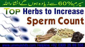 Pin On Sperm Increase