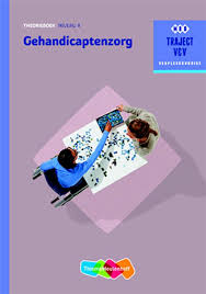 Traject V V Gehandicaptenzorg Niveau 4 Theorieboek 9789006910452 Tweedehands