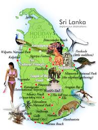 Holiday Lanka Group Lanka Holiday Vacation Tailor Made Travel And Vacation Tour Operator Holiday Planning Holiday Vacations Holiday Destinations