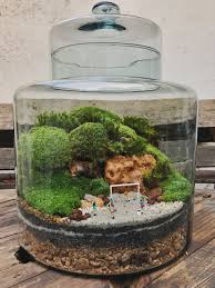 Terrario Com Campo De Futebol Jardim No Pote Terrarium Scene Plants In Bottles Garden Terrarium