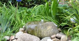 Quellstein Pflanzen Springbrunnen Garten Garten