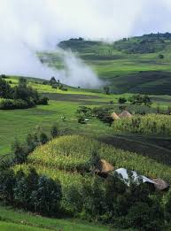 Pin By Holly Mcconnell On Out Of Africa African Travel East Africa Africa Destinations