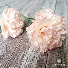 Carnation Crepe Paper Flowers Diy Video Carte Fini Crepe Paper Flowers Diy Crepe Paper Flowers Tutorial Paper Flower Centerpieces