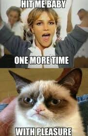 Some of theme are sad, grumpy, crying, cute, dank, hilarious and clean memes. One More Time With Pleasure Funny Grumpy Cat Memes Funny Cat Memes Grumpy Cat Meme
