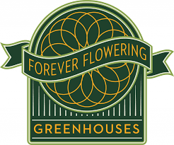 It costs less to buildout a greenhouse than an indoor facility and the. Forever Flowering Greenhouses Leaders In Light Deprivation