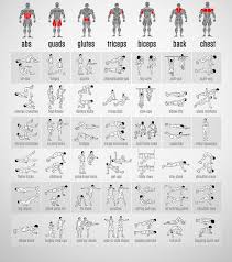 Best Full Body Workout Routine Chart With Illustrations