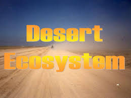 There is no need to settle. Desert Ecosystem Ppt Download