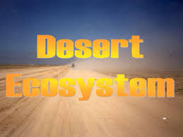 It is super easy to make and has an irresistibly rich buttery. Desert Ecosystem Ppt Download