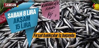 Samsun Da Firsatci Balikcilar Gercekler
