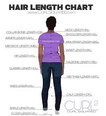 Hair Length Chart Hair Length Chart Natural Hair Styles