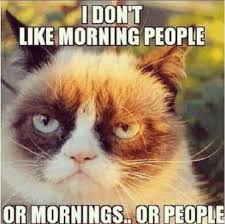 Grumpy Cat No More World Misses Stubborn No Sayer Who Bagged 100 Million In Online Fame World News India Tv