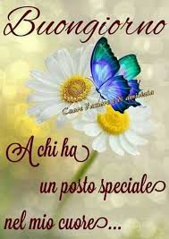 Belle Frasi Del Buongiorno 1 Buongiornoate It Buongiorno Buona Notte Benedizioni Buongiorno Immagini