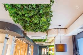 See ceiling design stock video clips. A Lot Of Green Leaves On The Ceiling Design For Cafe Or Coffee Stock Photo Picture And Royalty Free Image Image 139210005