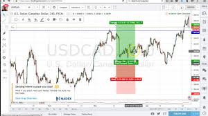Best Forex Charting Software Free