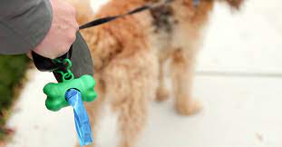 The Pooper Scooper Law Is Real And It Ll Cost You