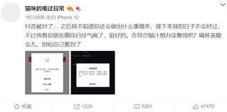 这个部分，可以视作孙一宁的互联网故事里的【第三世】。 花开两朵，各表一枝。 那边孙一宁一直在被王思聪纠缠，那边自己正经营得红红火火的网红新生活也出事了。 原来，除了老网友扒出来的黑历史，她也被部分新网友发现了一些私生活的端倪。 有人在部分平台的. M87680uldcioum