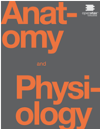 Anatomy And Physiology Open Textbook Library