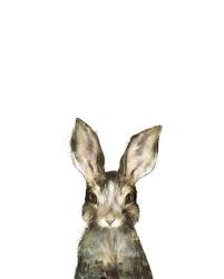 Little Rabbit Canvas Print By Amy Hamilton Rabbit Art Art Animals