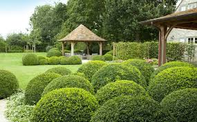 ichtegem west vlaanderen buxus realisatie 1 portfolio fotogalerij gerealiseerde projecten buxustuinen buxus tuin tuin ideeen