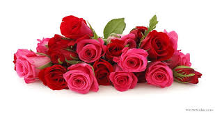 Check spelling or type a new query. Send Flowers 24 X 7 Los Angeles Ca Same Day Flower Delivery