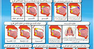 tasheel tadrees tajweed makhaarij مخارج الحروف quran book letter recognition worksheets quran