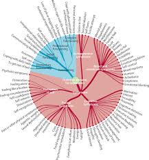 However, i feel they have great creative people working there who are focused on growth. Identifying Outcomes For Depression That Matter To Patients Informal Caregivers And Health Care Professionals Qualitative Content Analysis Of A Large International Online Survey The Lancet Psychiatry