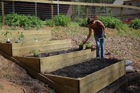 Raised Beds On A Hill Google Search Sloped Garden Vegetable Garden Raised Beds Garden On A Hill