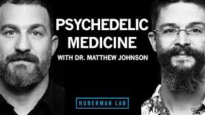 Matthew Johnson: Psychedelics