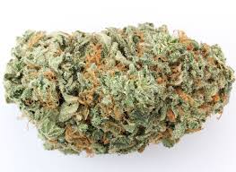 This bud is rumored to have been created by the us government during the 60's and 70's when they were experimenting with growing native afghani weed strains for medical purposes. G13 Strain Highlights
