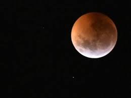 Audi wickelt sich um einen baum; Der Mond Der Blumen Und Eine Mondfinsternis Schmucken Den Himmel Am Mittwoch Wochenblatt