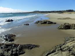 Maybe you would like to learn more about one of these? Gazos Creek Day Area At Ano Nuevo State Park Lonely Hiker