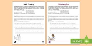Aug 25, 2021 · dna codes the sequence of the amino acids in proteins using the genetic code, a triplet code of nucleotide bases. Dna Copying Activity Dna Replication Worksheet Science