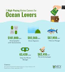 How much does a a marine biologist in united states make? Ocean Jobs A Marine Careers List For Water Lovers Unity College