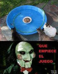 Ver más ideas sobre memes divertidos, memes perrones, memes. Que Empiece El Juego Memes Memes Divertidos Memes Perrones