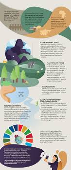 Organized crime and the environment - Resilience Fund