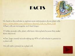 We did not find results for: Plant Vs Animal Cells James Greene Content Area Science Grade Level 5 Summary The Purpose Of This Powerpoint Is To Provide Students With Facts Ppt Download