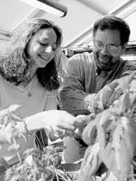 Undergraduate and Graduate Catalog