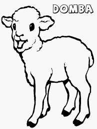 Gambar Mewarnai Hewan Domba