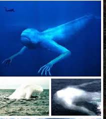 Creepy Little World Real Life Mermaids Weird Creatures Real Mermaids