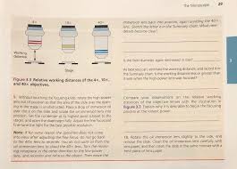 40x of scales present on the edges of wings. 29 The Microscope 10x 40x Immersion Lens Back Into Chegg Com