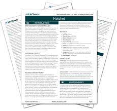 Hatchet Chapter 15 Summary Analysis Litcharts