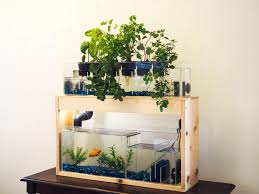 Home Aquaponic System With Plant Bed And Aquarium By Bigfishinteriors On Etsy Https Www Etsy Com Listing 5 Aquaponics System Aquaponics Diy Indoor Aquaponics