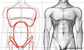 Here presented 52+ male torso drawing images for free to download, print or share. Male Torso Drawing Male Torso Guy Drawing Body Sketches
