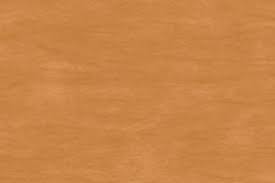 Sw 3509 Baja Beige Screened Porch Stain Color Sherwin Williams Sherwin Williams Stain Stain Colors Staining Deck